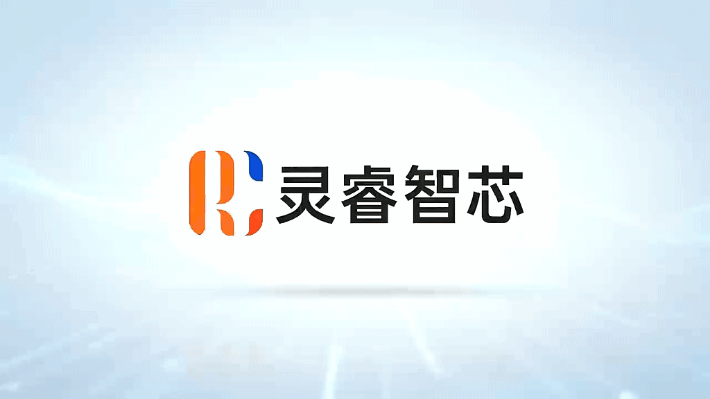灵睿智芯