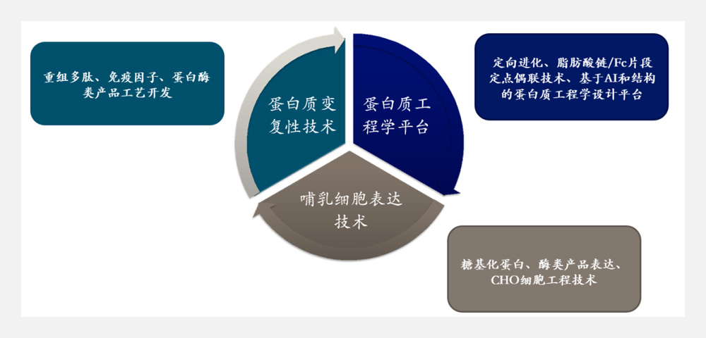 【沂景星闻】沂景资本完成对蛋白新药研发企业志道生物的B轮投资(图2) 【沂景星闻】沂景资本完成对蛋白新药研发企业志道生物的B轮投资(图2)