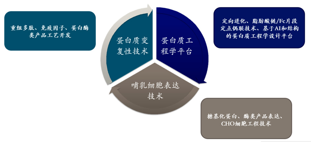 蛋白新药研发企业志道生物完成B+轮融资(图2) 蛋白新药研发企业志道生物完成B+轮融资(图2)