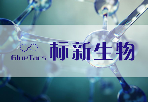 标新生物（Gluetacs Therapeutics）完成A轮融资，加速蛋白降解药物临床转化